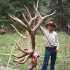 BIG BULL ELK ANTLERS-Discounted DIY and Semi-Guided Mule Deer, Elk, Antelope, Elk, Whitetail, Moose, Buffalo, Discounted Landowner Vouchers/Tags if needed
