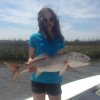 great fighting redfish on inshore charter