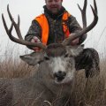 Nebraska Mule Deer, Whitetail Deer, Turkey,  Pheasant Hunts