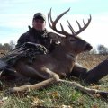 Illinois Whitetail Deer Hunts, Fulton County