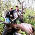 Colorado Deer Elk Antelope Bear GMU 1, 2, 3, 10, 11, 12, 42, 131, 201, 211, 421, 521