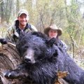 Idaho Bear, Elk, Deer Hunts Challis Idaho