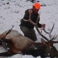 Wyoming Antelope, Mule Deer, Whitetail Deer, Hunts Region C, Area 22, 23