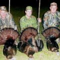 Florida Osceola Turkey Hunts South and Central Florida