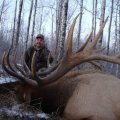 Canada Elk, Whitetail Deer, Bison and Wild Boar Hunts, Saskatchewan Province