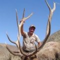 Colorado DIY Elk Hunts GMU 21, 22, 31, 10