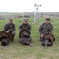 Oklahoma Whitetail Deer, Turkey, Pheasant Hunts