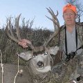 Colorado Elk, Mule Deer, Bear Self Guided hunts GMU 33
