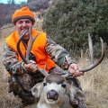 Colorado Elk Mule Deer Semi Guided Hunts GMU 25