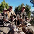 Wyoming Antelope, Deer, Turkey Area 4 &amp; 5