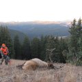 Colorado Trespass, DIY Hunt in Northwestern Colorado, Mule Deer, Antelope, Mountain Lion and Bear