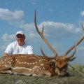 Oklahoma Hog and Exotic Hunts