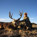 New Mexico Trophy Mule Deer Hunts