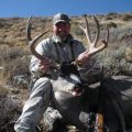 Nevada  Mule Deer ~ Antelope ~ Elk ~ Big Horn Sheep ~ Lion Hunts