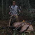 Colorado Elk Hunt GMU 71