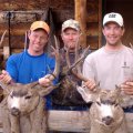 Colorado Elk Deer Bear Hunt GMU 63
