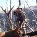 Wyoming Deer, Antelope, Elk Hunts in Medicine Bow Area