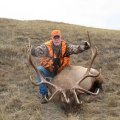 Colorado Elk Deer Antelope Mountain Lion Bear GMU 1,2,10,11,12,13 &amp; 211