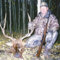 Colorado Elk, Deer, Buffalo Hunts GMU 70 71 711