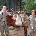Colorado Elk Meeker GMU 24
