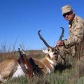 Colorado DIY Elk, Mule Deer private 3,000 acre Hunt in Northwestern Colorado GMU 441