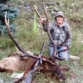 Colorado Elk, Mule Deer DIY Drop Camp Hunt San Juan Mountains