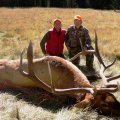 Colorado Elk Deer Bear GMU 71