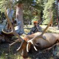 Colorado Elk GMU 18