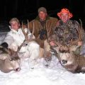Colorado Deer and Mule Deer Hunts GMU 214