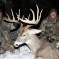 Missouri Whitetail Deer Hunts in Tipton