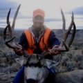 Colorado Elk, Mule Deer, Sheep, Hunts GMU 51