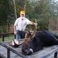 Maine Black Bear, Whitetail Deer, Moose, Turkey, Coyote, Small Game Hunts