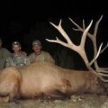 Arizona Gould's Turkey, Coues Deer, Mule Deer, Elk, Javelina Hunts