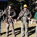 Colorado Elk Mule Deer Hunts GMU 24