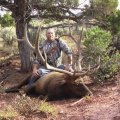 Colorado Deer Elk Bear GMU 53 54