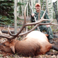 Colorado Elk Deer GMU 66,67,68,681 &amp; 82