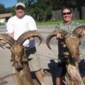 Free Ranging West Texas Trophy Mule Deer Hunts at a reduced rate