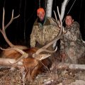 Colorado Drop Camp DIY Hunts Elk, Mule Deer San Juan Mountains  GMU 71, 711, 72, 73
