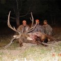 Colorado Mule Deer, Elk, Antelope Hunts in GMU 12,13, 59, 62, 64, 65, 70, 105, 106, 112, 113, 119, 120, 121, 411 and 581