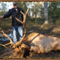 Texas Whitetail Deer, Mule Deer, Elk, Bison, Exotic Hunts near Sanderson