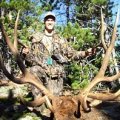 Colorado Elk Deer GMU 66
