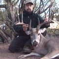Texas Whitetail Deer, Turkey, Hog, Predator Hunts