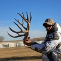 Nebraska Mule deer, Whitetail Deer, Antelope, Turkey, Pheasant, Duck