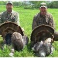 Oklahoma Whitetail Deer, Turkey, Hog Hunts - Southern Oklahoma