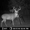 Oklahoma Whitetail Deer, Turkey Hunts Northwestern Oklahoma