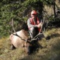 Colorado Elk Hunt GMU 214