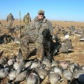 Colorado Elk Duck Geese Pheasant Chukar GMU 42