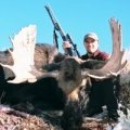 Idaho Moose Hunts Units 73, 74, 75, 77, &amp; 78