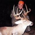 Oklahoma Whitetail Deer Hunts Northwestern Oklahoma