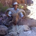 Texas Whitetail Deer, Mule Deer, Elk, Hogs Hunts South of Blanca